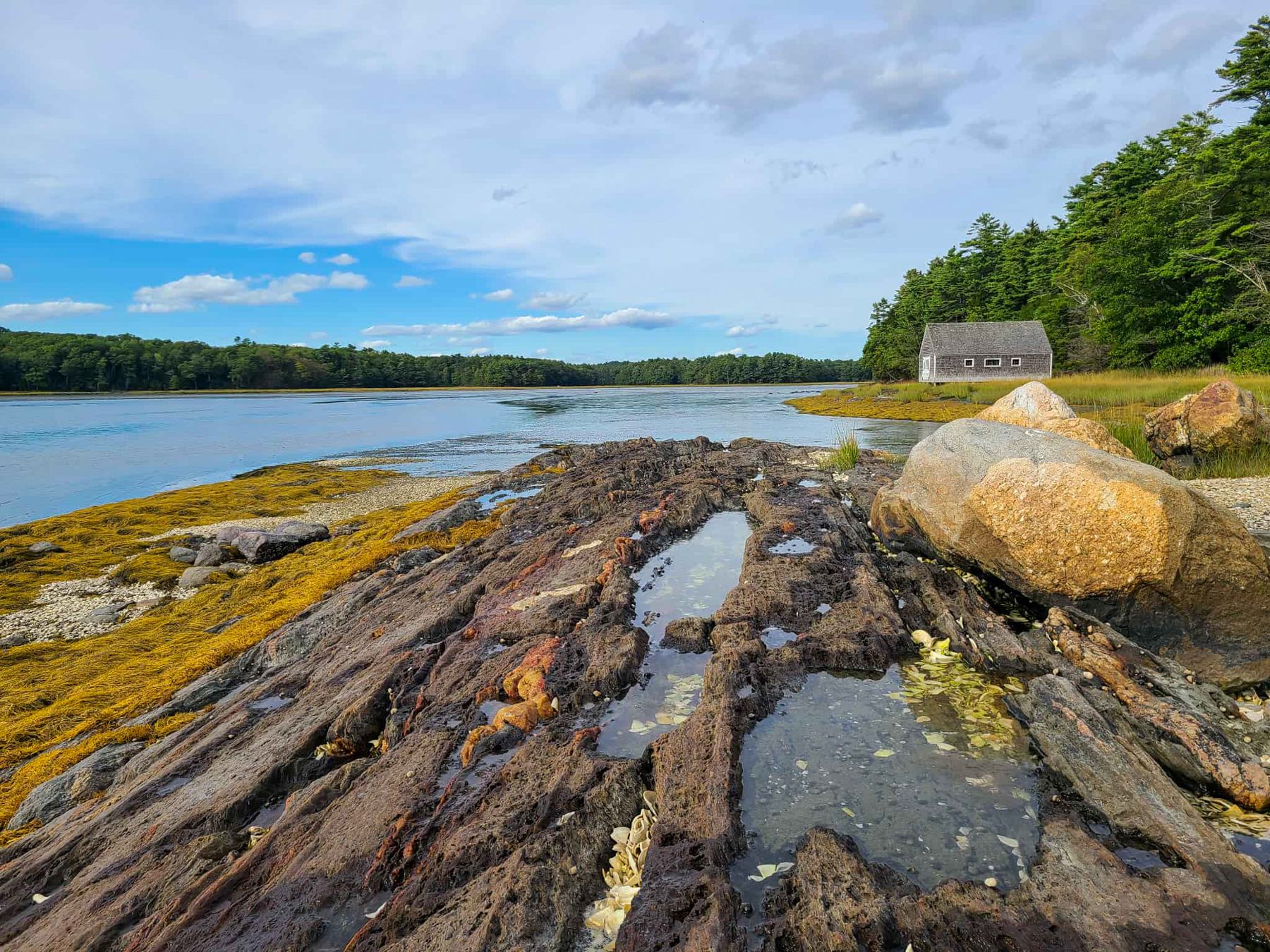 Rocky shoreline at Skolfield Shores Preserve