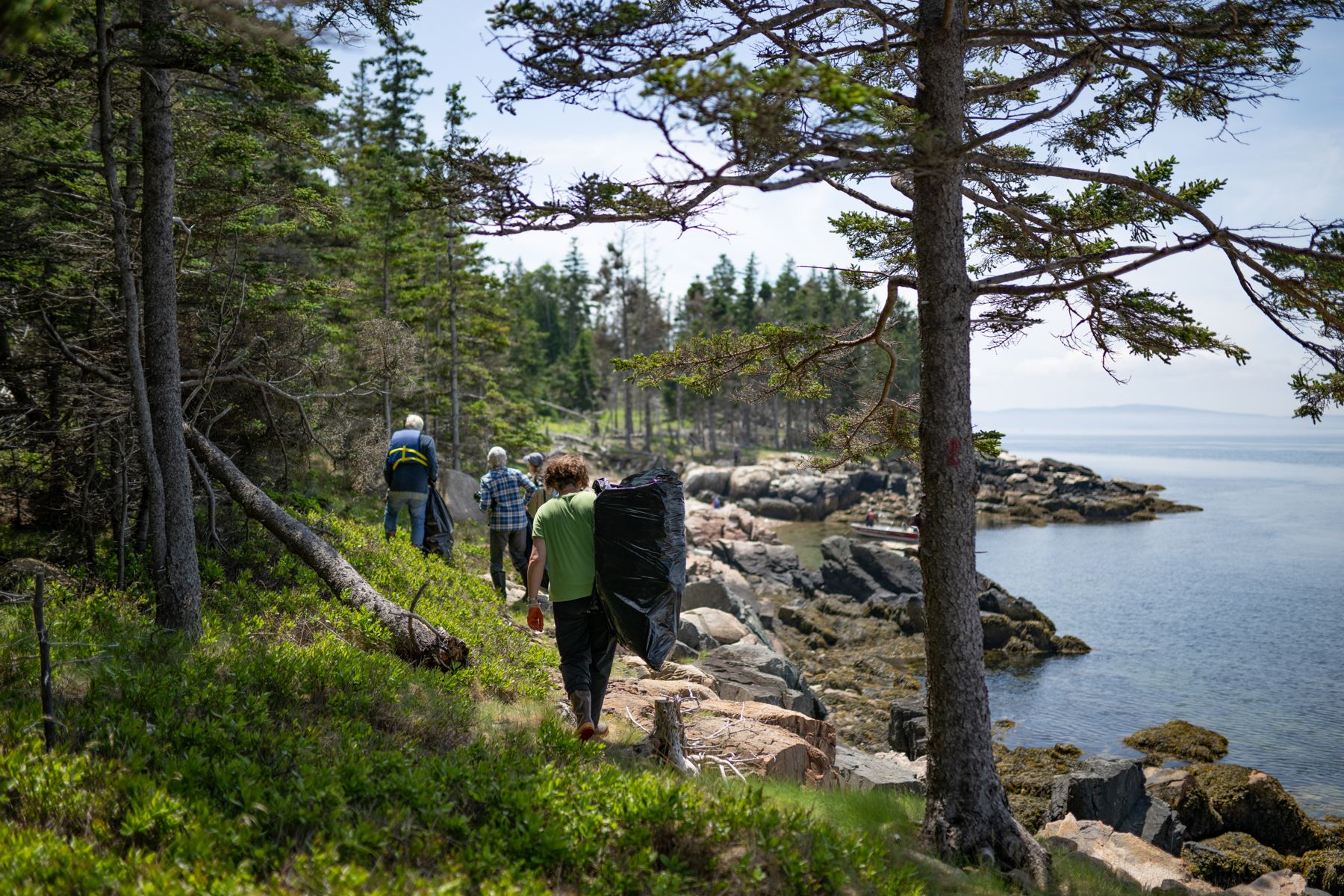 Volunteers walking a wooded island trail along the shore